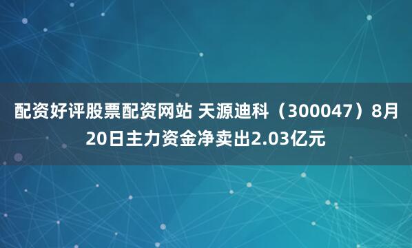 配资好评股票配资网站 天源迪科（300047）8月20日主力资金净卖出2.03亿元